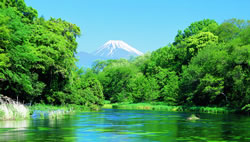 世界遺産富士山のバナジウム天然水仕立て
